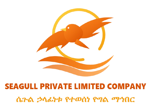 seagulllogo removebg preview